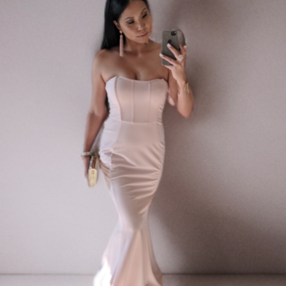 Windsor Strapless Blush Dress